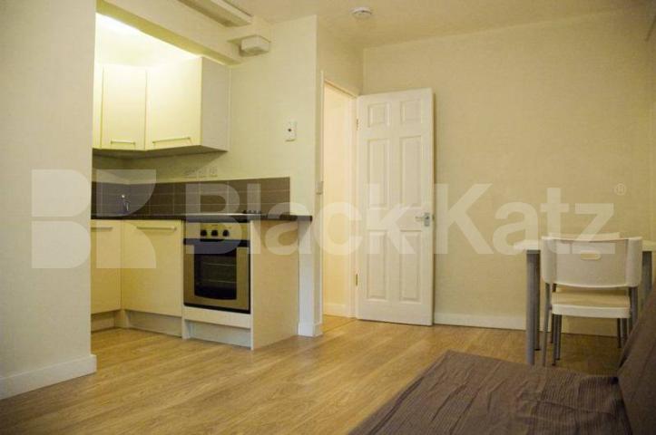 			NEW INSTRUCTION, 1 Bedroom, 1 bath, 1 reception Ground Floor Flat			 Shepherds Bush Green, Shepherds Bush
